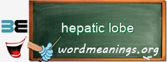 WordMeaning blackboard for hepatic lobe